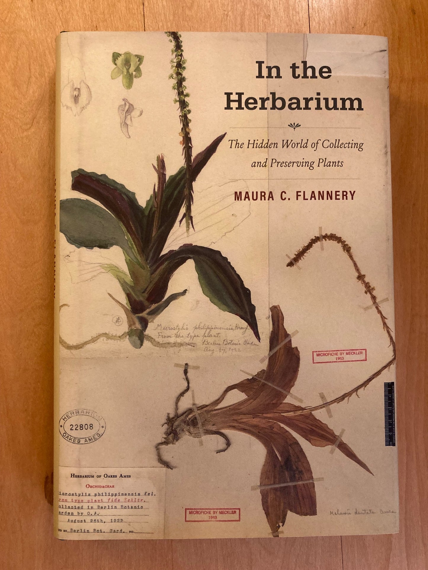 In the Herbarium (First Edition)
