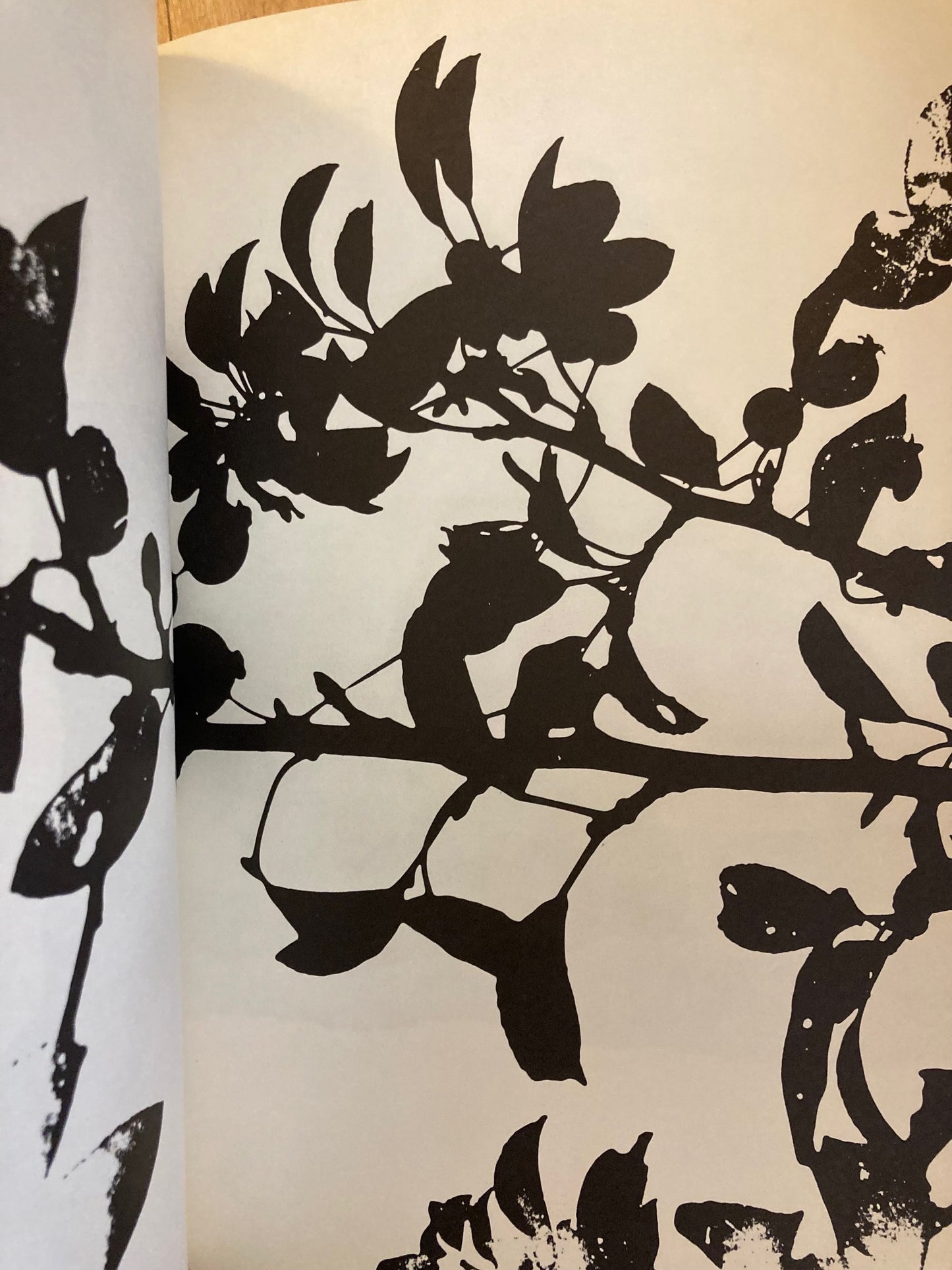 City, Uncity (First Edition)