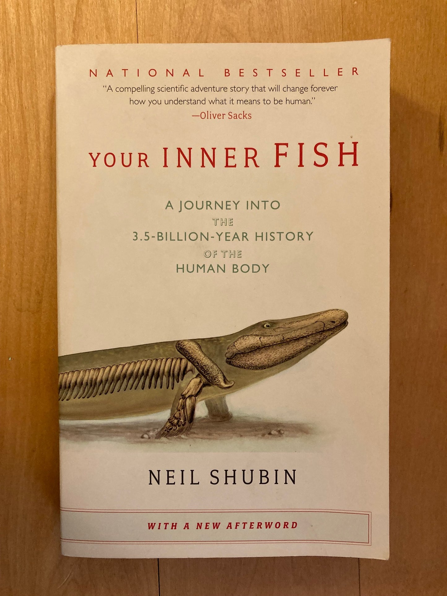 Your Inner Fish