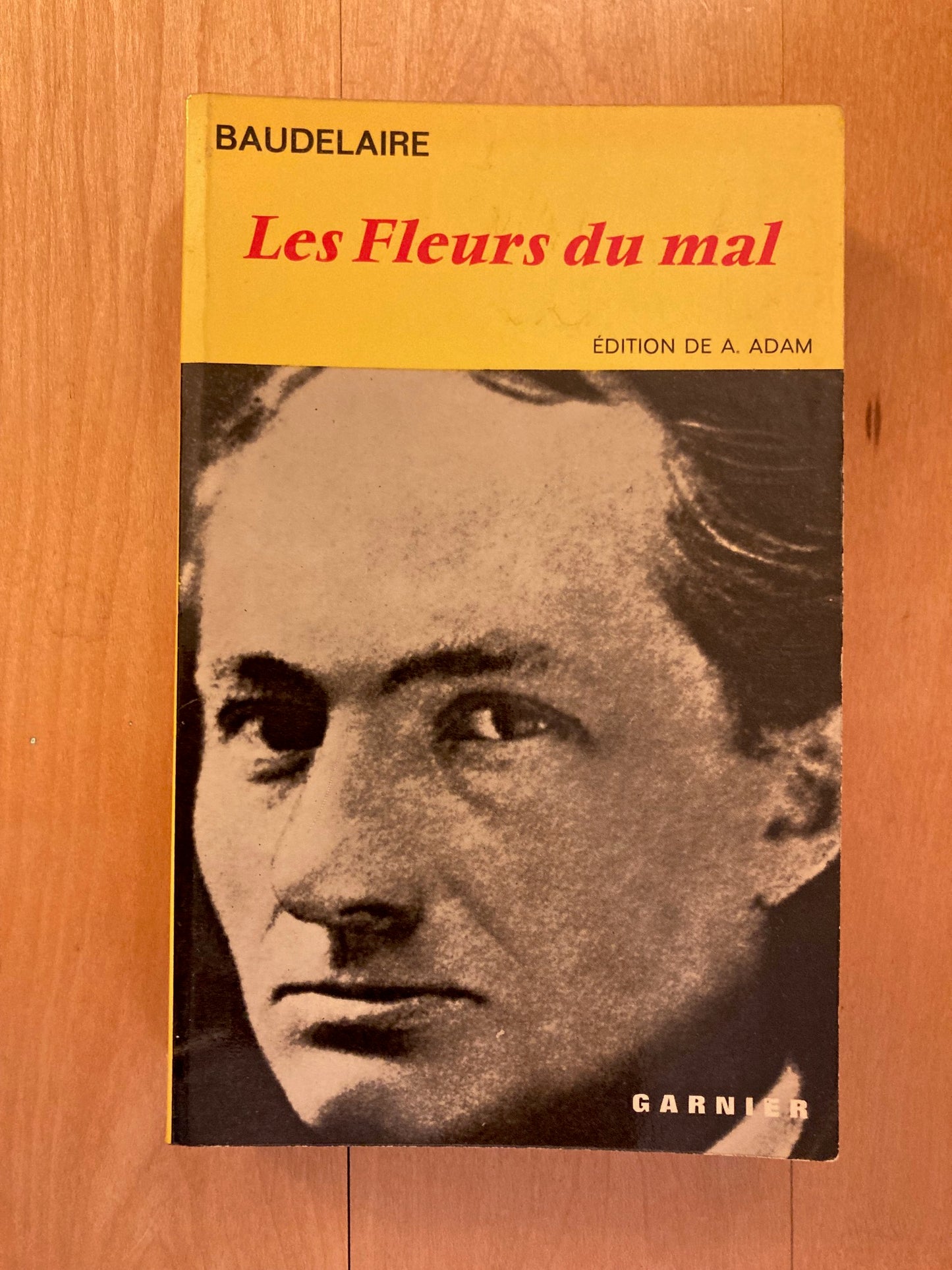 Les Fleurs du Mal