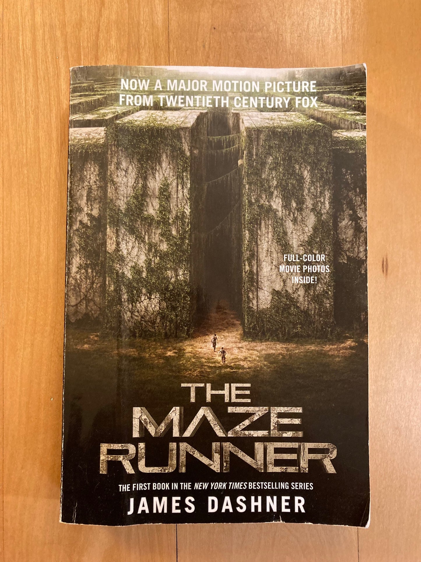 The Maze Runner