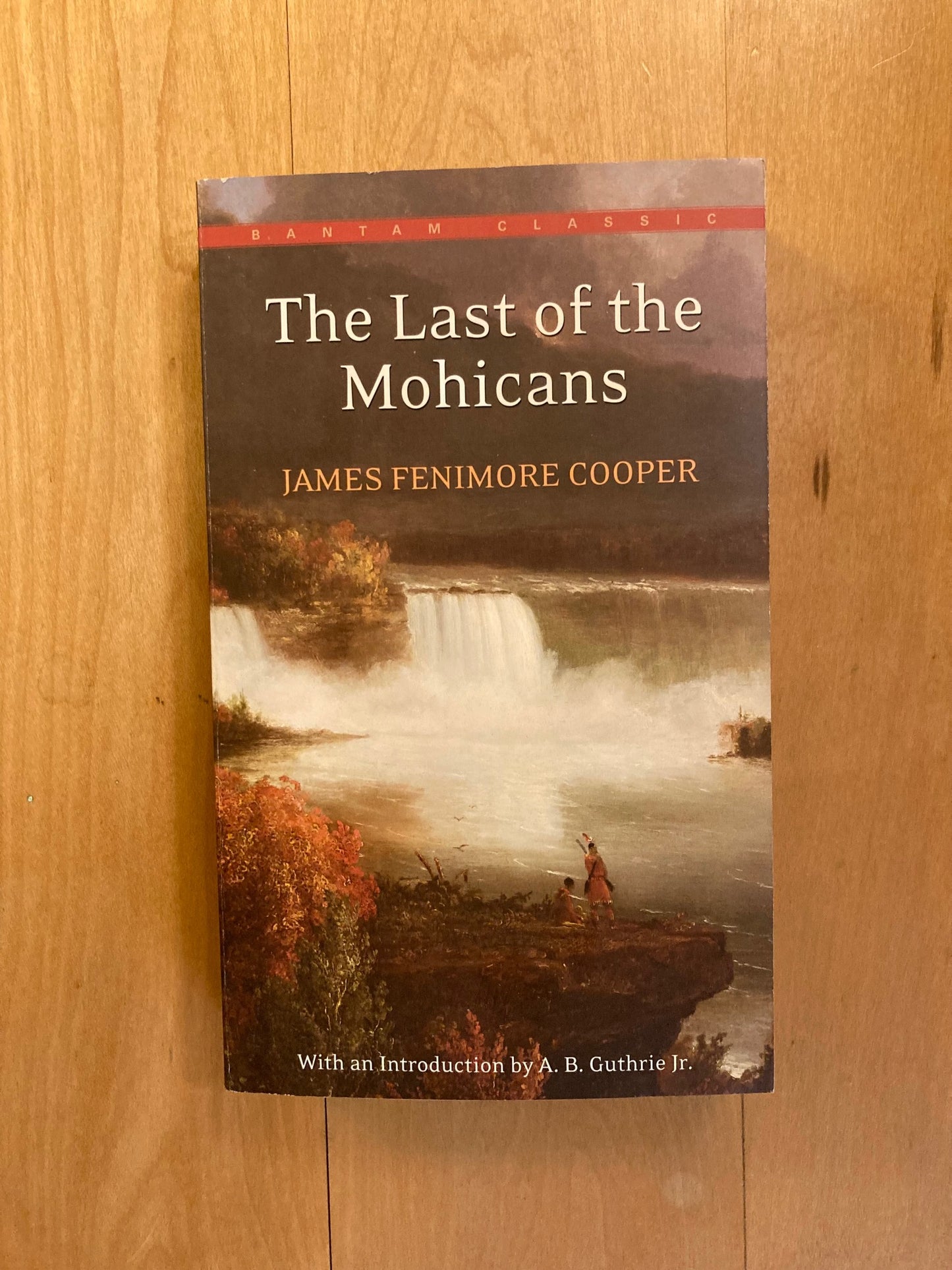 The Last of the Mohicans