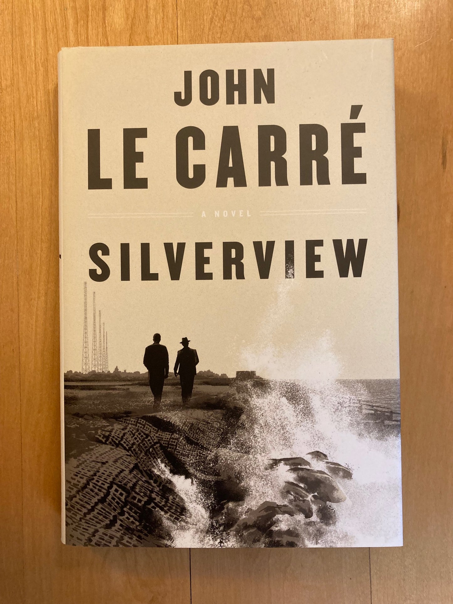 Silverview (First edition)