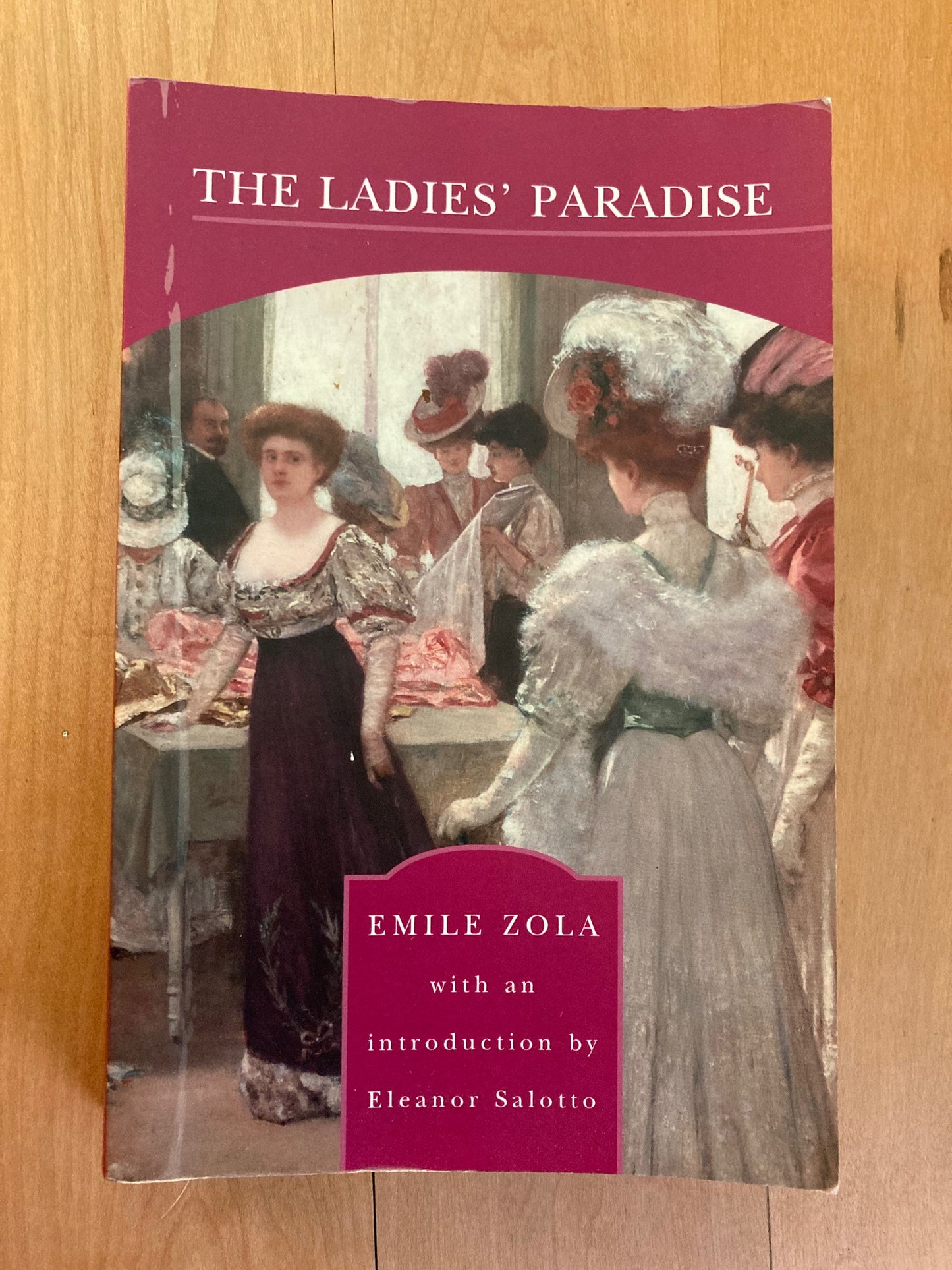 The Ladies' Paradise
