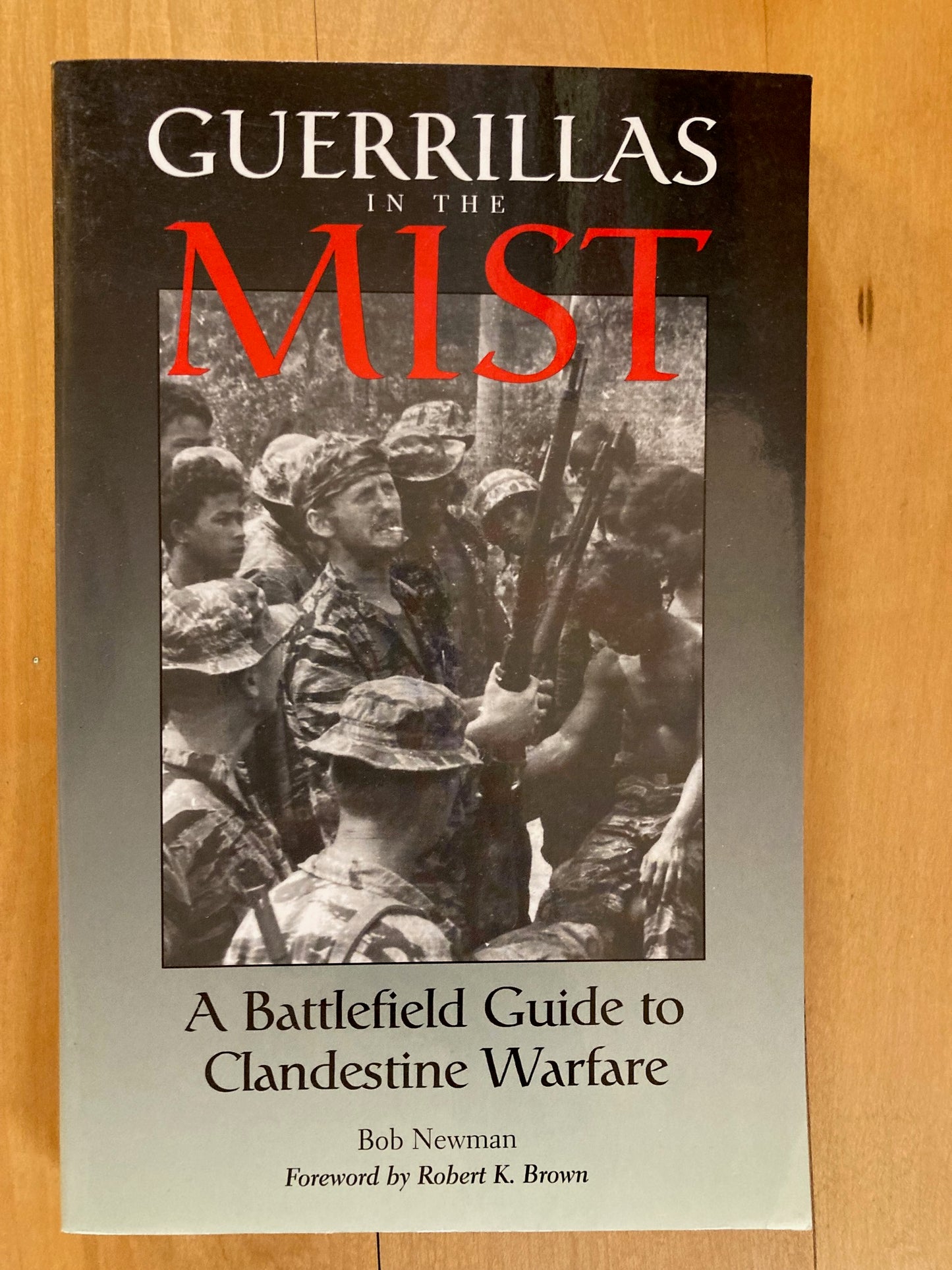 Guerrillas in the Mist