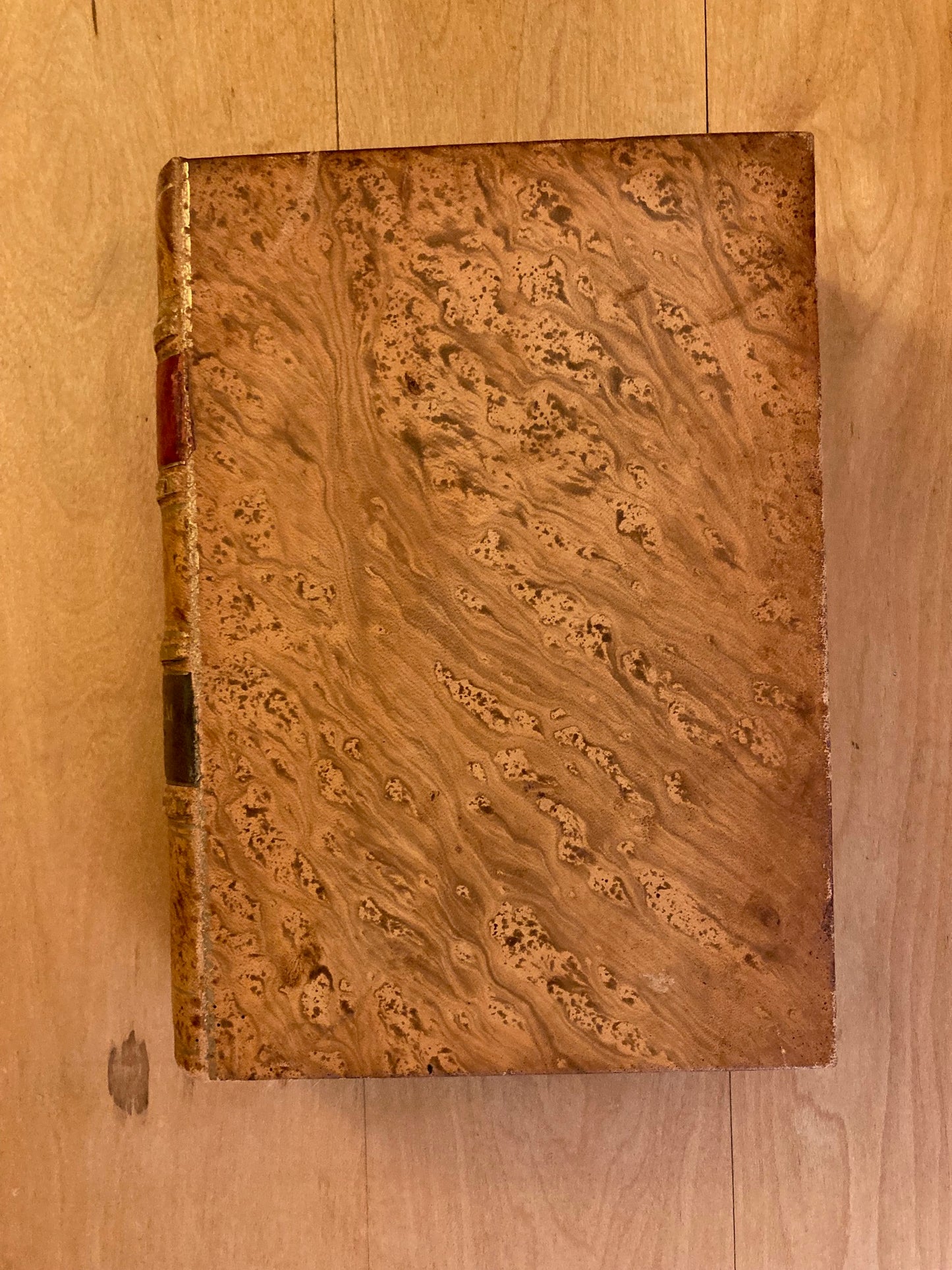 Phantom Crown (First Edition)