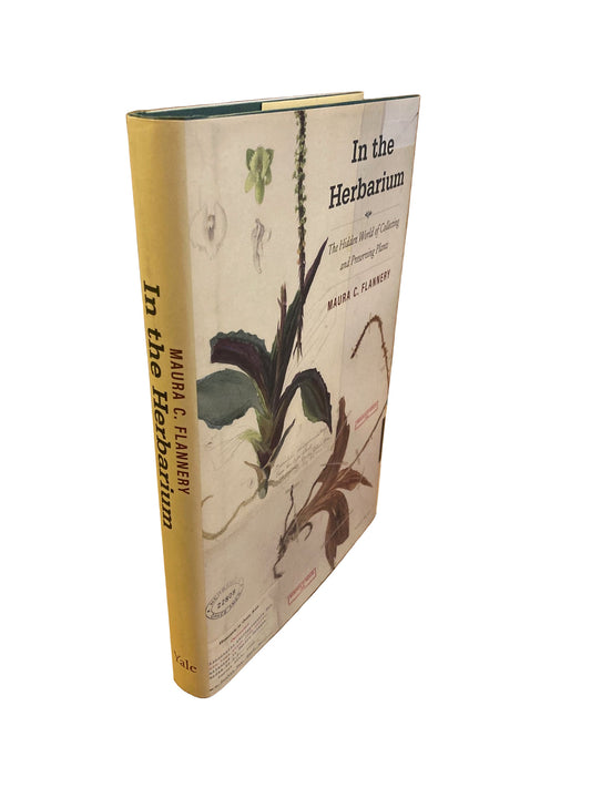 In the Herbarium (First Edition)