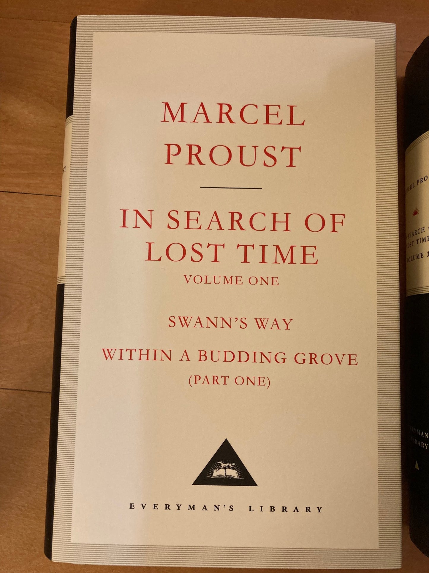 In Search of Lost Time (Box Set)