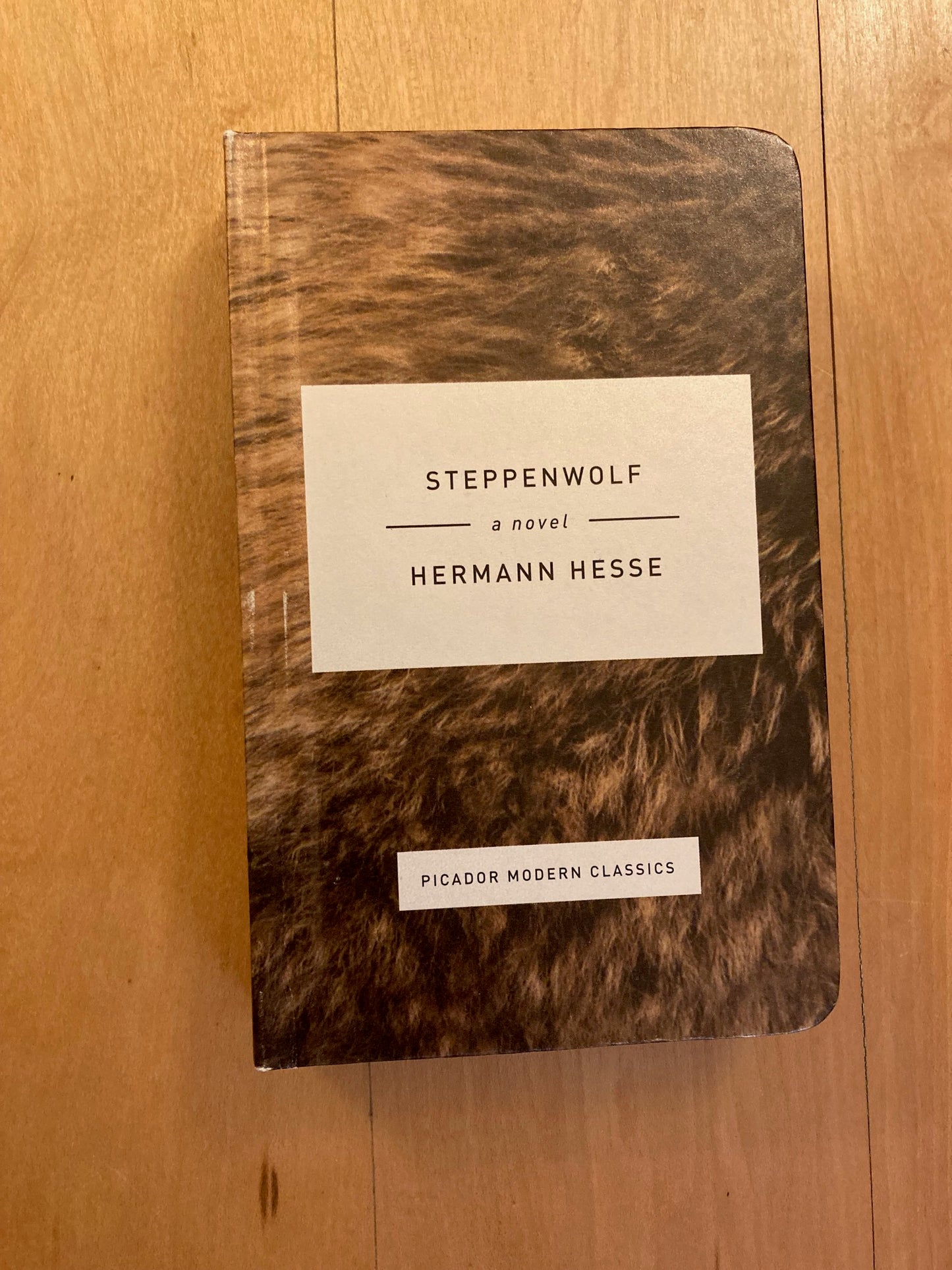 Steppenwolf