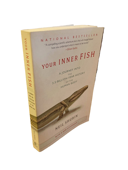 Your Inner Fish