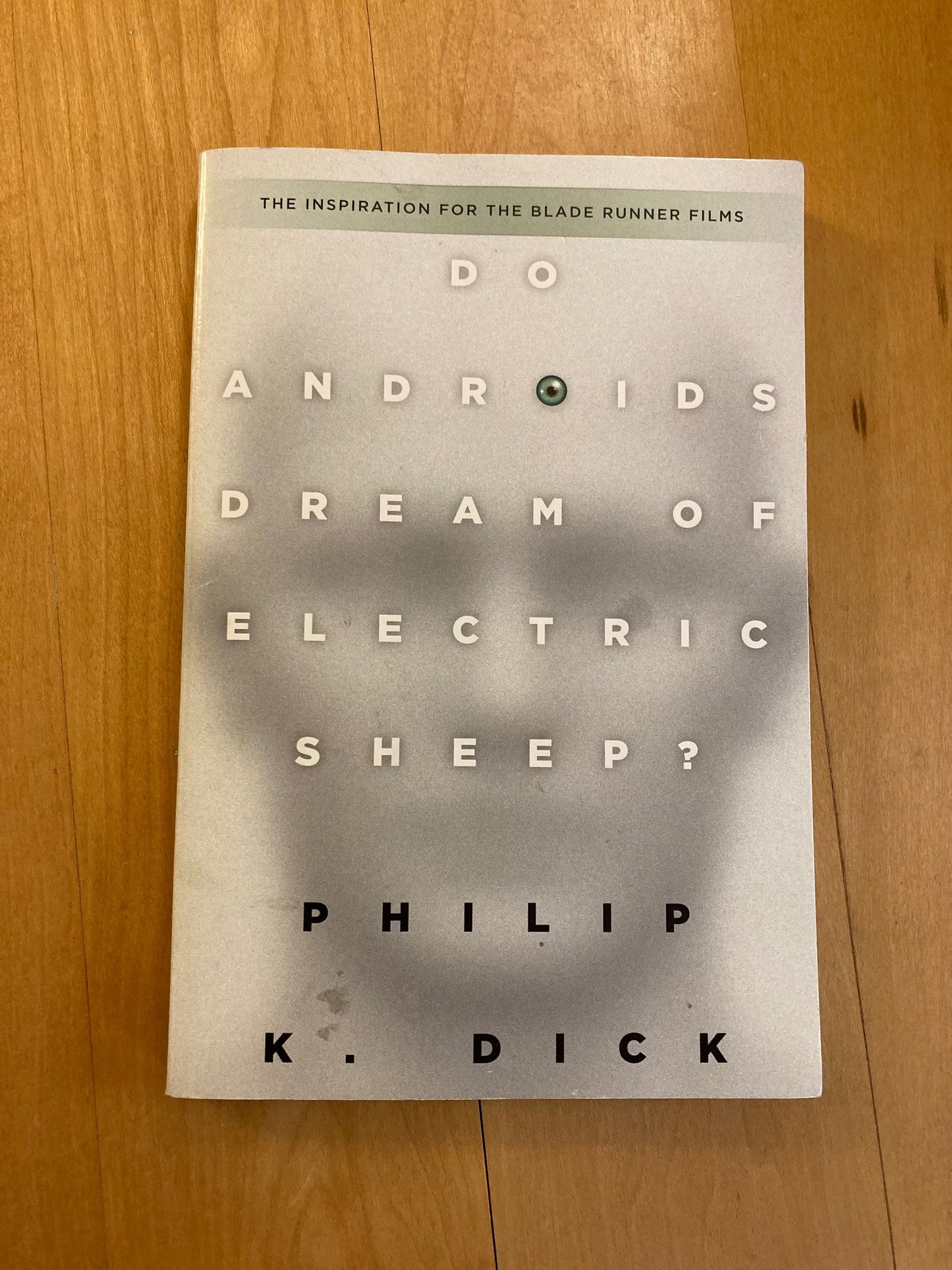 Do Androids Dream?