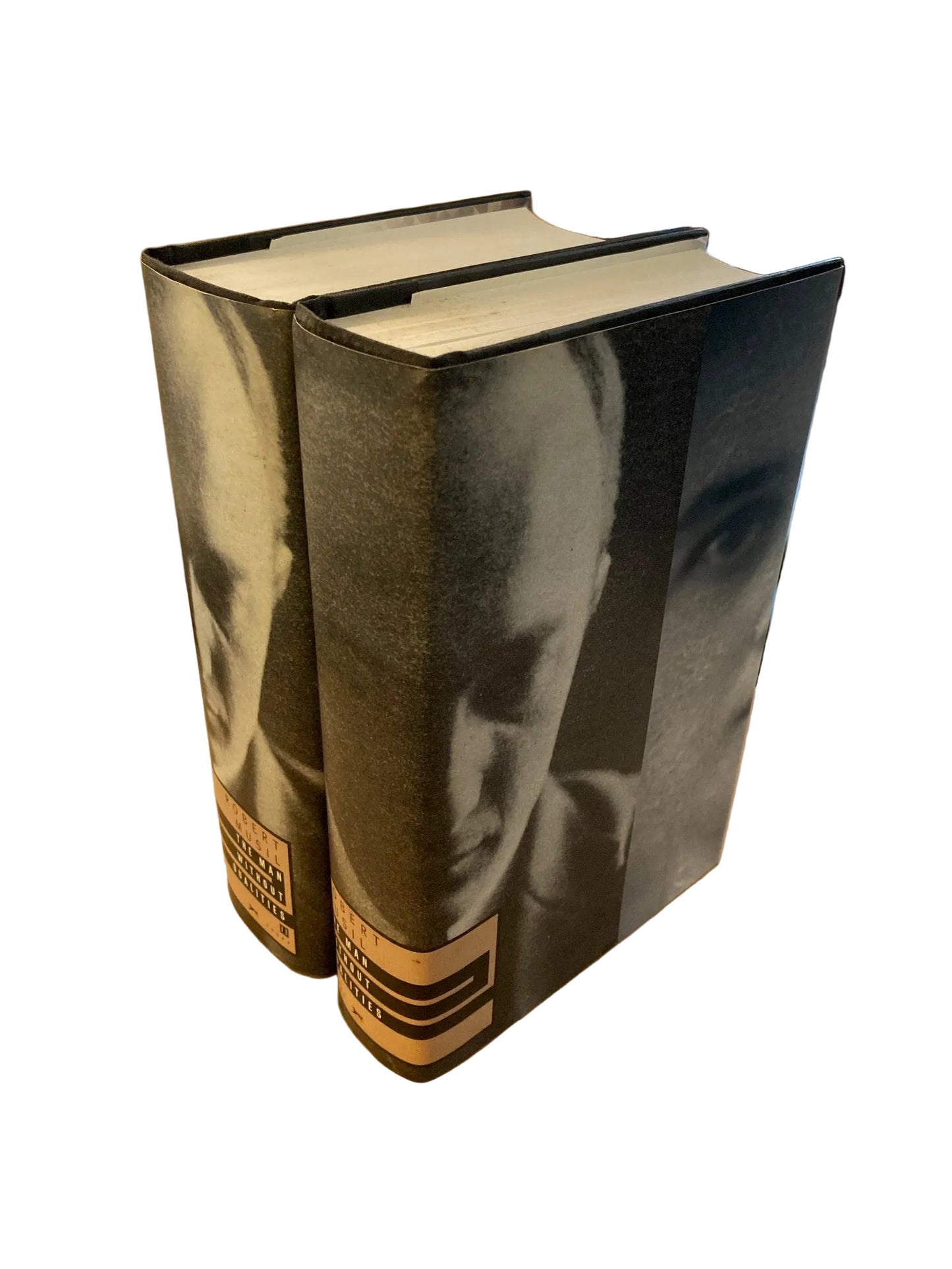 The Man Without Qualities