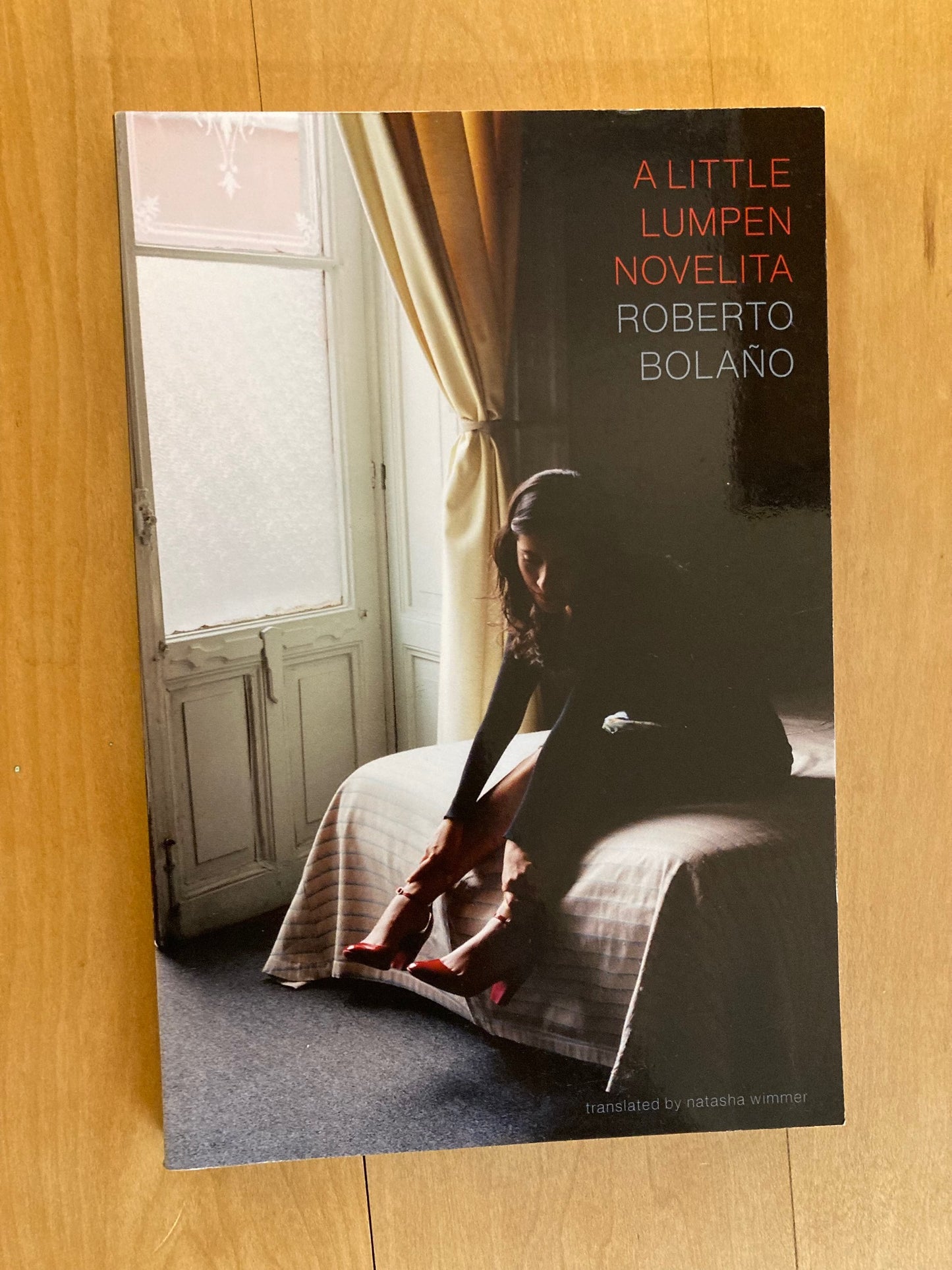 A Little Lumpen Novelita