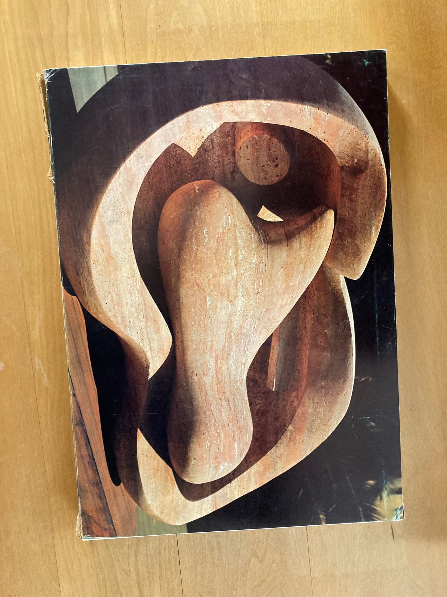 Henry Moore Carvings Bronzes