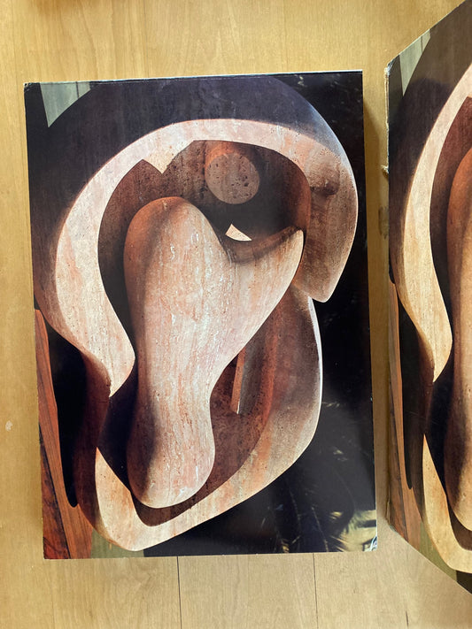 Henry Moore Carvings Bronzes